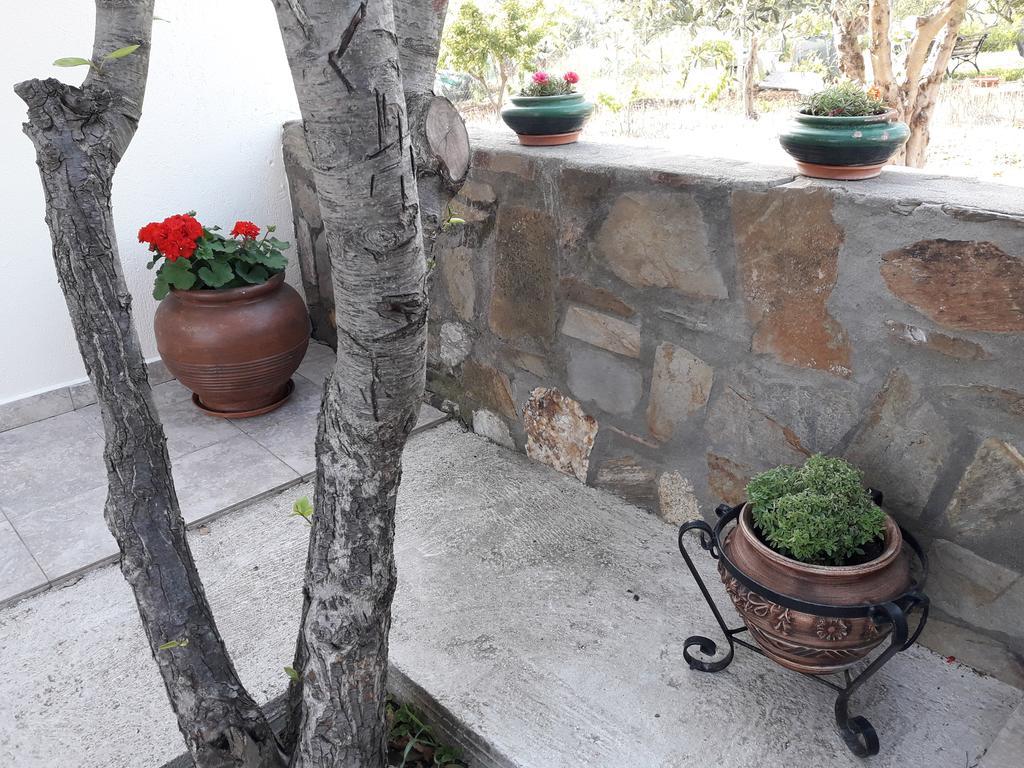 Nikiforos House Apartment Áyios Nikólaos Ngoại thất bức ảnh